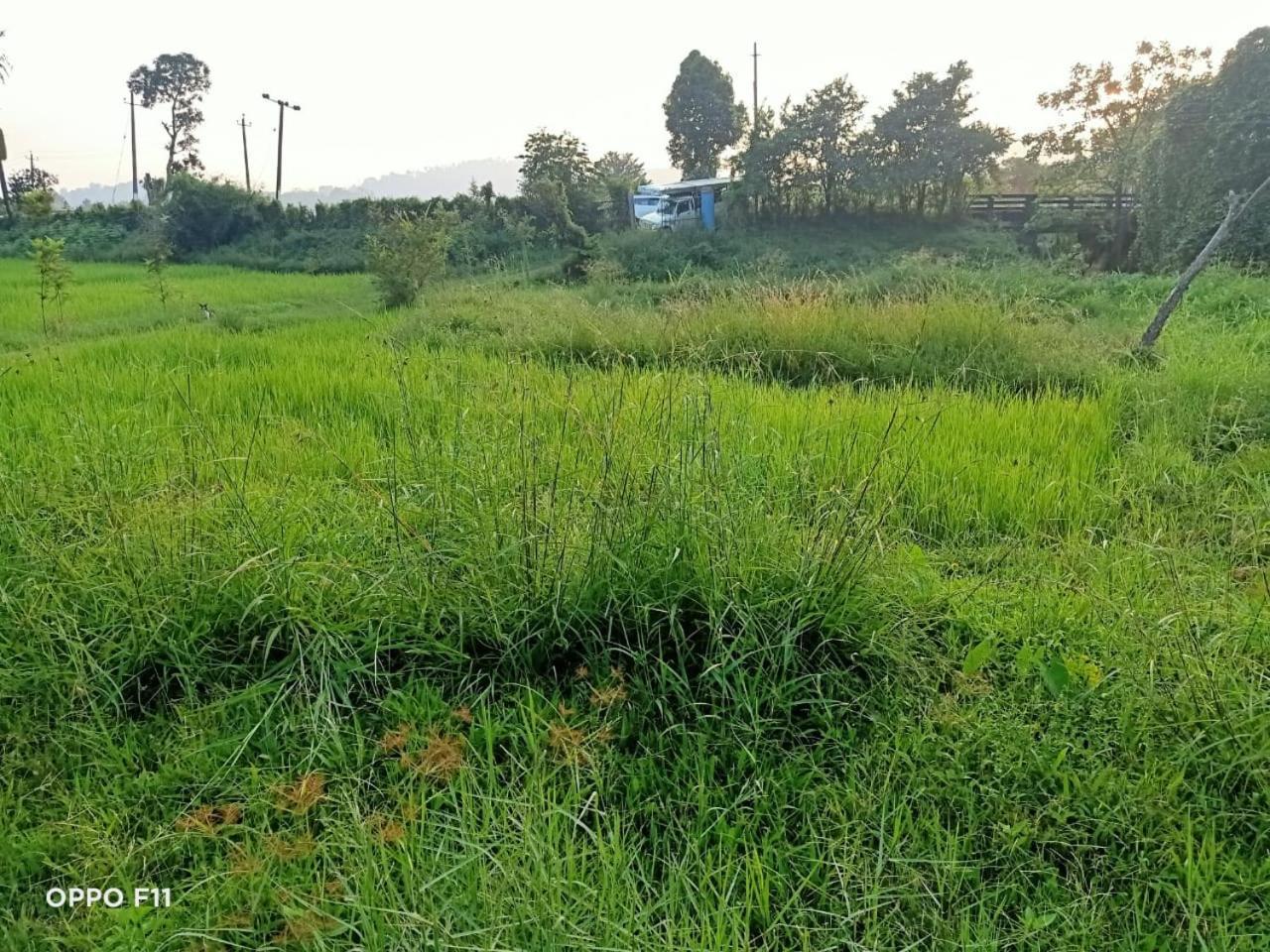 Samz Estate Stay 2Bhk Madikeri Extérieur photo